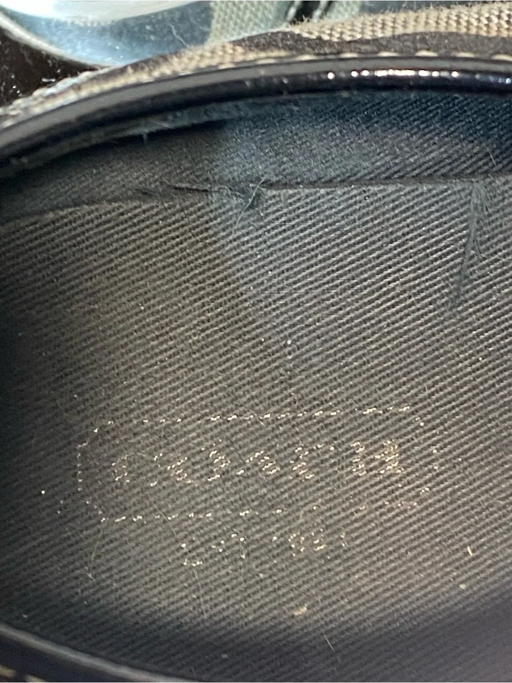 Coach low top
